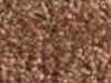 Textured Carpet Sample