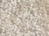 Textured Carpet Sample