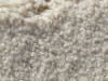 Plush Velvet Stainmaster Carpet