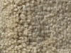 Plush Velvet Stainmaster Carpet