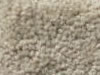 Plush Velvet Stainmaster Carpet