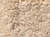 Plush Velvet Stainmaster Carpet