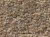 Plush Velvet Stainmaster Carpet