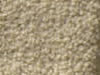 Plush Velvet Stainmaster Carpet