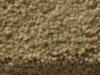 Plush Velvet Stainmaster Carpet