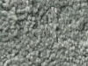 Plush Velvet Stainmaster Carpet