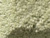 Plush Velvet Stainmaster Carpet