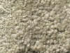 Plush Velvet Stainmaster Carpet