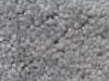 Plush Velvet Stainmaster Carpet