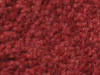 Plush Velvet Stainmaster Carpet