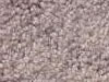 Plush Velvet Stainmaster Carpet