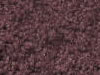 Plush Velvet Stainmaster Carpet