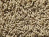 freize carpet sample