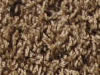 freize carpet sample