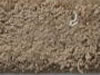 Freize Carpet Sample