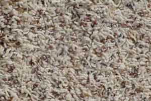 Freize Carpet Sample