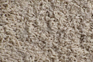 Freize Carpet Sample