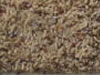 Freize Carpet Sample