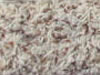 Freize Carpet Sample