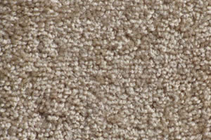 Textured Carpet Sample