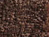 Textured Carpet Sample