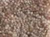 Textured Carpet Sample