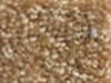 Textured Carpet Sample