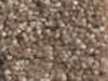 Textured Carpet Sample