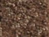 Textured Carpet Sample
