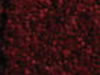 Textured Carpet Sample