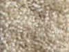 Textured Carpet Sample