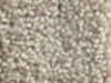 Textured Carpet Sample