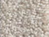 Textured Carpet Sample