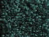 Textured Carpet Sample