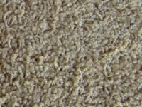 carpet sample