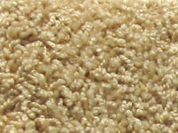 carpet sample