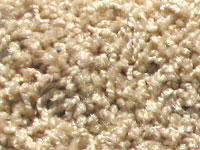carpet sample