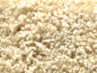 carpet sample